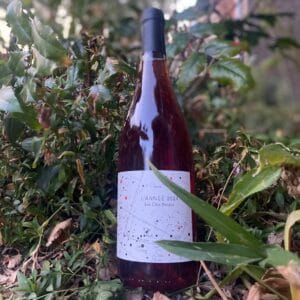 Les Clos Perdus - L'Année Rosé